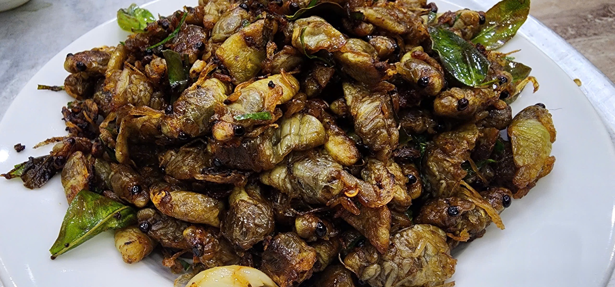 Nam thanh ni&ecirc;n nguy kịch sau khi ăn ve sầu- Ảnh 1.