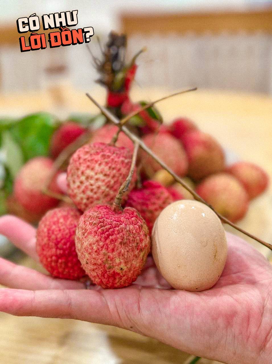 Bỏ 1,2 triệu để mua 5kg vải trứng: Kích thước "khủng" thật nhưng hương vị thế nào? - Ảnh 3.