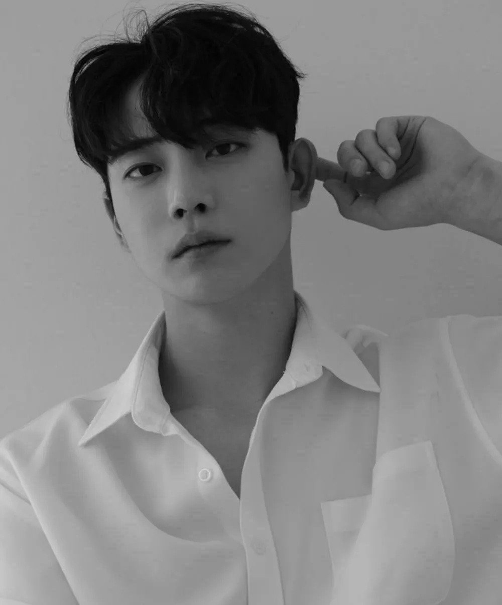  - Ảnh 2.