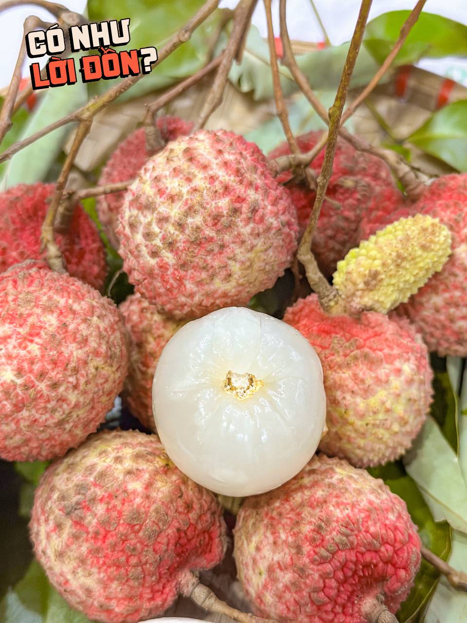 Bỏ 1,2 triệu để mua 5kg vải trứng: Kích thước "khủng" thật nhưng hương vị thế nào? - Ảnh 7.