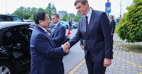 Vượt xa Campuchia, Thái Lan, một mặt hàng của Việt Nam chiếm lĩnh thị trường Trung Quốc, chiếm tới 97% - Ảnh 2.