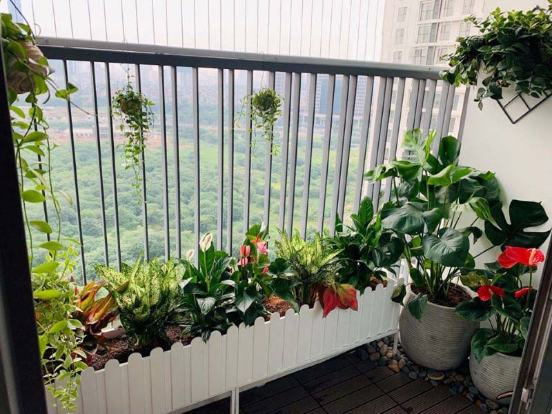 Dở khóc dở cười với muôn kiểu “chống nóng” bá đạo ở chung cư của mẹ chồng - Ảnh 1.