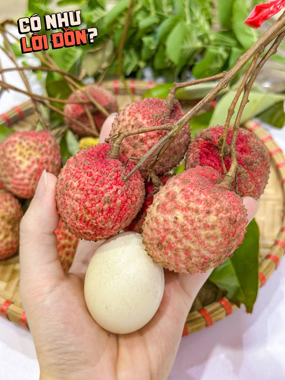 Bỏ 1,2 triệu để mua 5kg vải trứng: Kích thước "khủng" thật nhưng hương vị thế nào? - Ảnh 12.