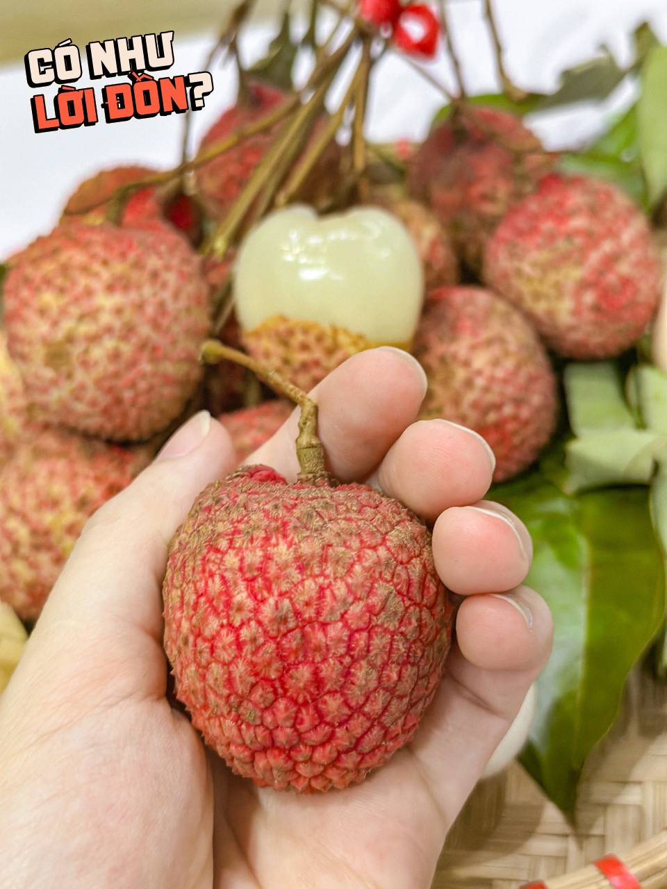 Bỏ 1,2 triệu để mua 5kg vải trứng: Kích thước "khủng" thật nhưng hương vị thế nào? - Ảnh 13.