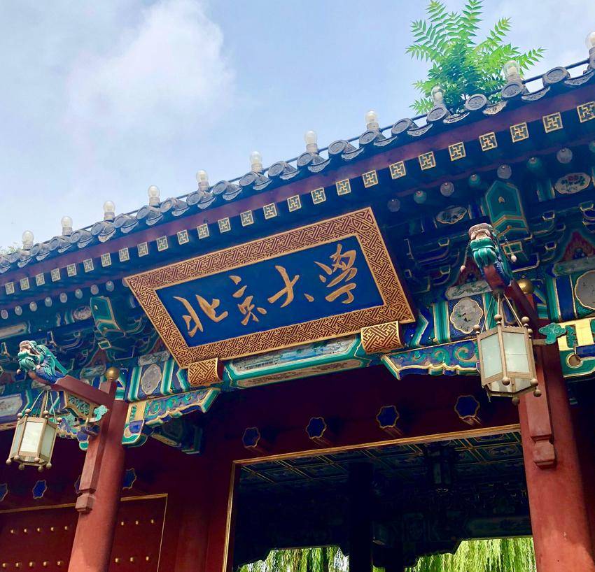 Giáo sư toán học Vi Đông Dịch bất ngờ nổi tiếng trên mạng xã hội Trung Quốc - Ảnh 4.