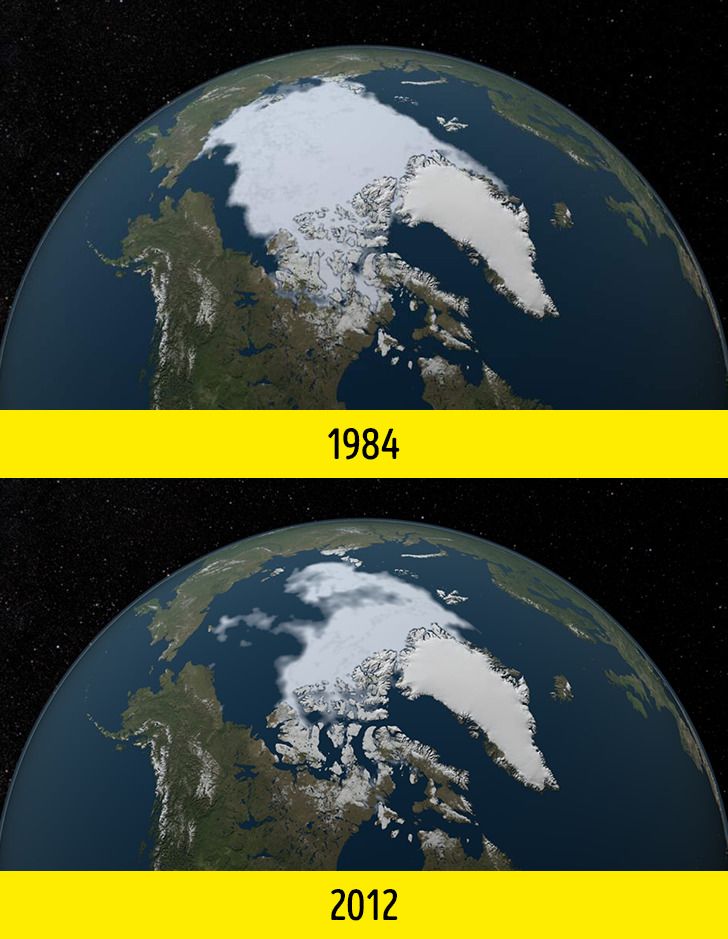 Thế giới của ch&uacute;ng ta đ&atilde; thay đổi như thế n&agrave;o? Những bức h&igrave;nh sau sẽ khiến bất kỳ ai cũng phải suy ngẫm v&agrave; giật m&igrave;nh- Ảnh 9.