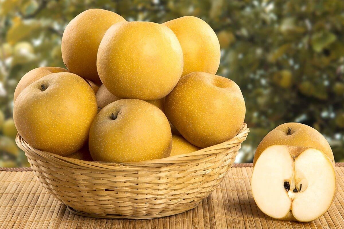 5 loại tr&aacute;i c&acirc;y c&oacute; phần vỏ c&ograve;n tốt hơn cả ruột, nhiều người kh&ocirc;ng biết lại thẳng tay vứt đi- Ảnh 6.