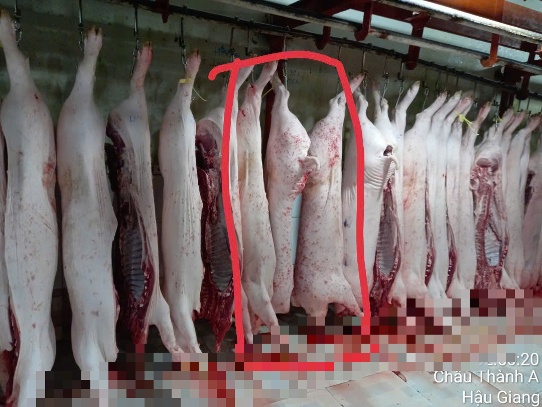 Người tố Công ty c . P . Việt Nam làm việc với Công an tỉnh Sóc Trăng và Hậu Giang - Ảnh 1. Người tố Công ty c . P . Việt Nam làm việc với Công an tỉnh Sóc Trăng và Hậu Giang - Ảnh 1.