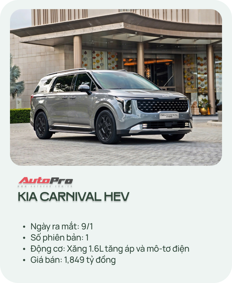 - Ảnh 1.