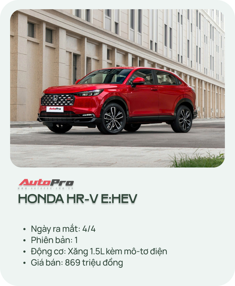 - Ảnh 8.
