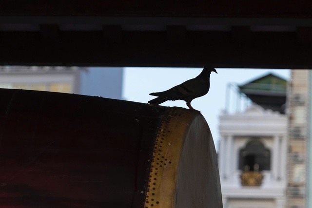 Cập nhật: Không khí đặc biệt của buổi sáng ngày 1/7 sau khi tiếng chuông ngân vang tại hơn 18.000 ngôi chùa trên cả nước- Ảnh 20.