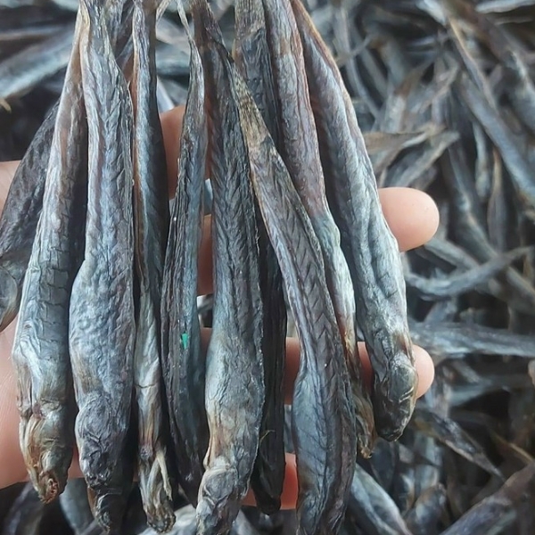 Loại cá "nhà nghèo" nay thành đặc sản, phơi khô bán 700.000 đồng/kg, nhà giàu mê như điếu đổ - Ảnh 6.