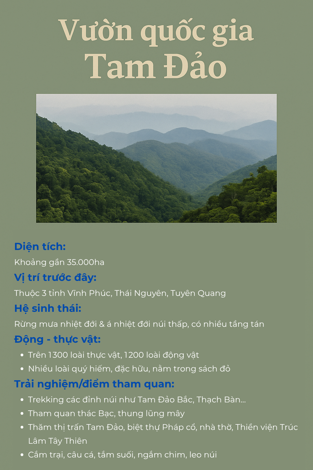  - Ảnh 9.