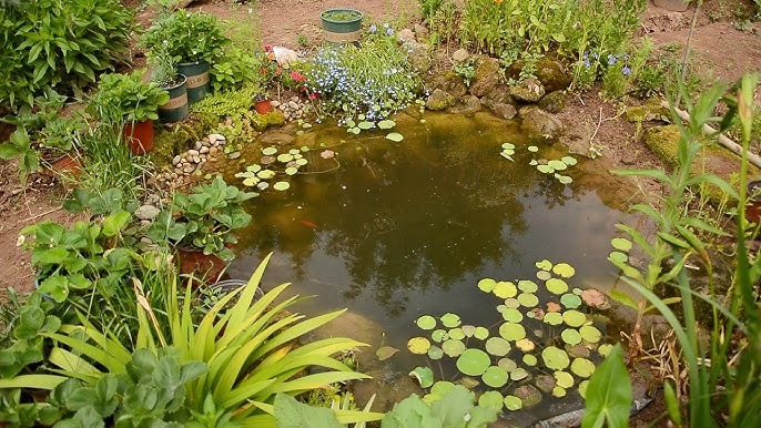 Trước nhà phạm 