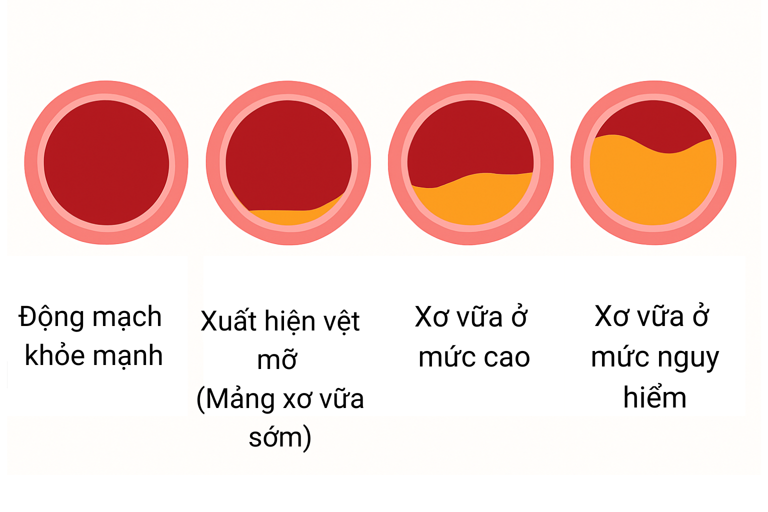 - Ảnh 3.
