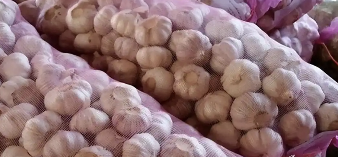 Thương lái mất 500 tấn tỏi và bài học về chữ tín trong kinh doanh - Ảnh 1.