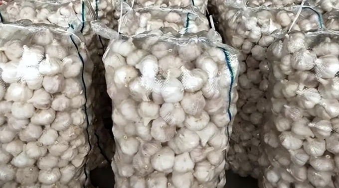 Thương lái mất 500 tấn tỏi và bài học về chữ tín trong kinh doanh - Ảnh 3.