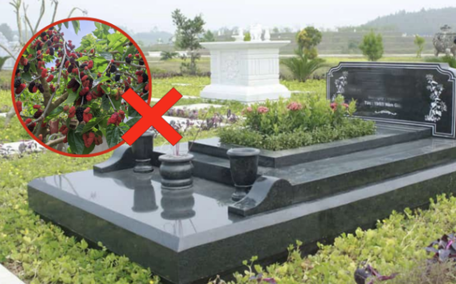 Ông bà dặn: 3 cây CHỚ trồng trước mộ, 4 thứ KHÔNG để trên giường - Giờ nghe lời, sau đỡ hối hận - Ảnh 1.