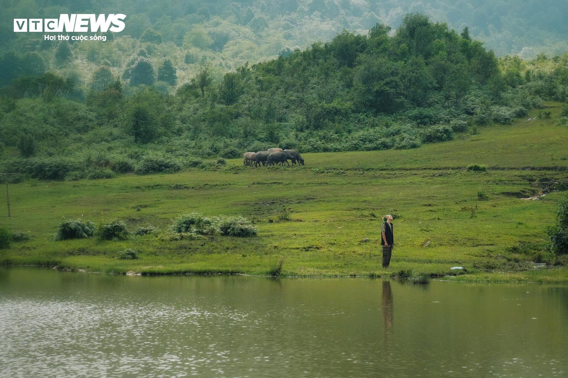 Giới trẻ đổ về Y T&yacute; tr&aacute;nh n&oacute;ng, săn m&acirc;y trắng giữa đại ng&agrave;n T&acirc;y Bắc - Ảnh 9.