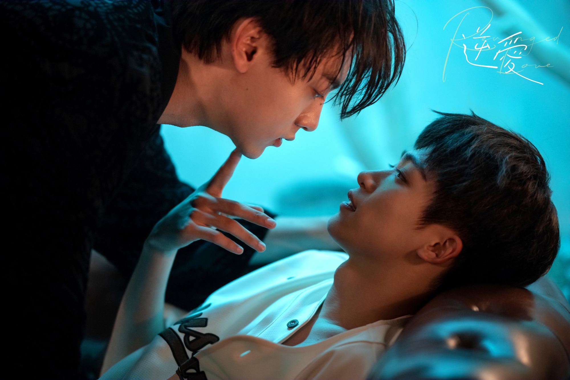 - Ảnh 2.
