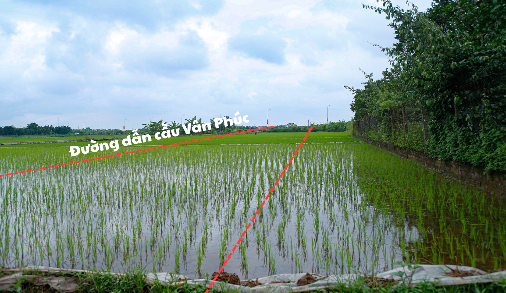 Toàn cảnh khu vực sắp được xây cầu hơn 3.400 tỷ, biến loạt làng xóm ven sông thành đất mặt tiền ở Hà Nội- Ảnh 7.
