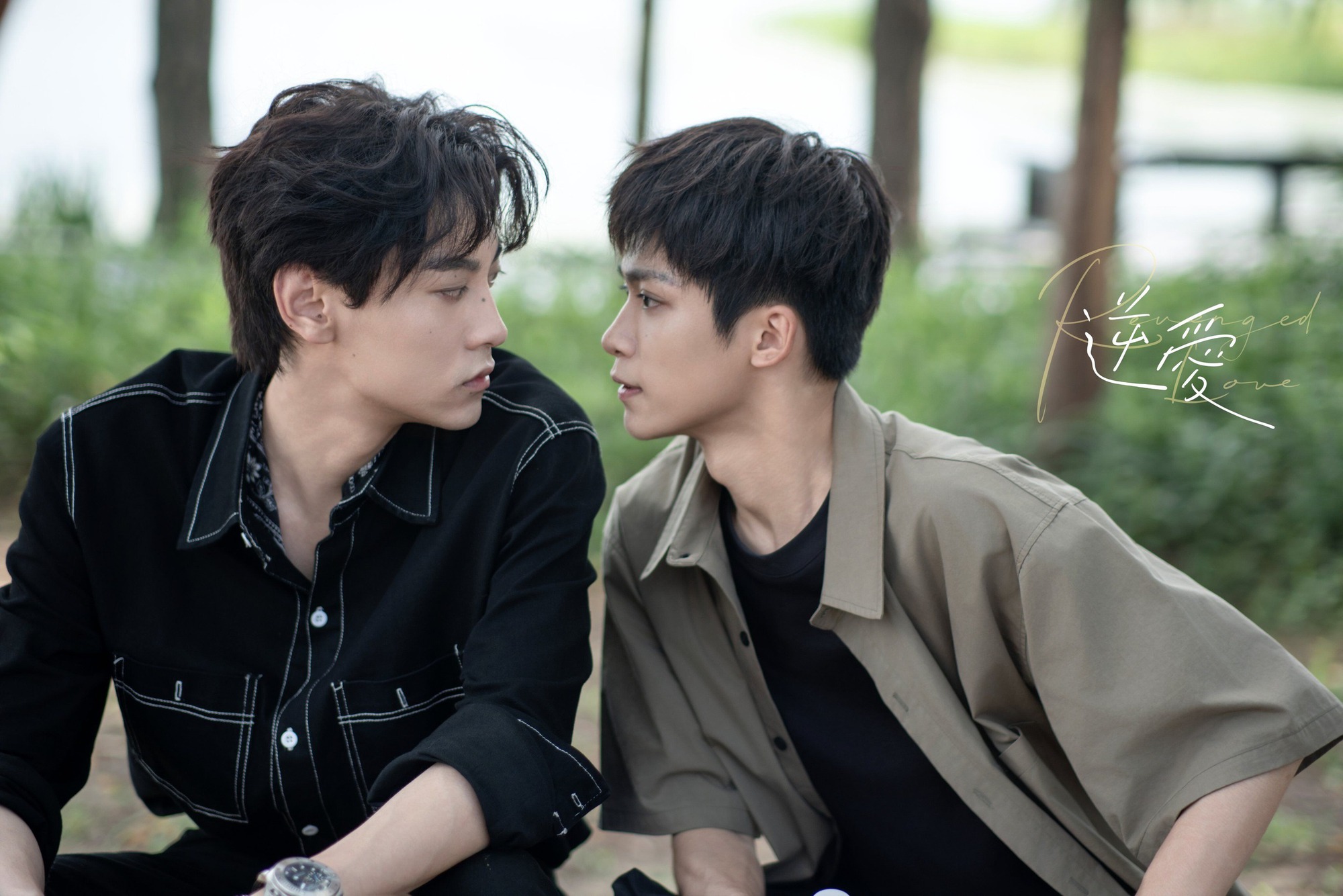 - Ảnh 4.