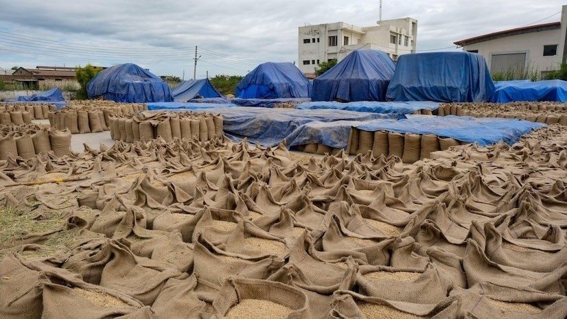 Vượt Thái Lan, Việt Nam sẽ có mặt hàng xuất khẩu top 2 thế giới, chinh phục hơn 150 quốc gia