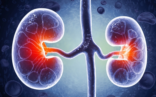 Xoa ấn 3 vùng này mỗi ngày giúp gan, thận thải độc tố nhanh gấp bội - Ảnh 3.