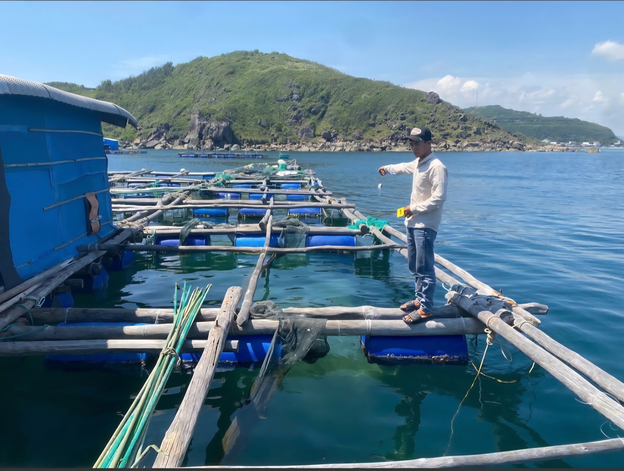 Khởi tố 4 đối tượng trộm cắp tôm hùm với tổng giá trị 313 triệu đồng - Ảnh 1.