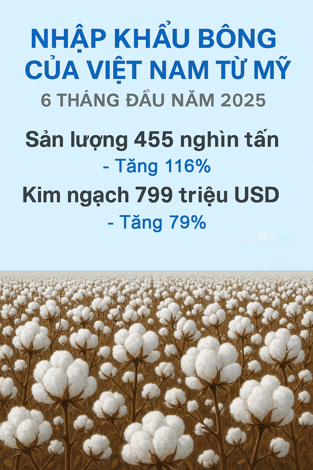 Hàng trăm nghìn tấn 'vàng trắng' từ Mỹ ồ ạt tràn về Việt Nam với giá siêu rẻ: nhập khẩu tăng hơn 100%, nước ta tiêu thụ 1,5 triệu tấn/năm - Ảnh 2.