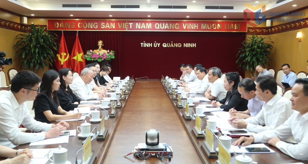 Tập đoàn Trung Quốc có doanh thu hơn 76 tỷ USD muốn tham gia xây dựng hầm vượt biển lớn nhất Việt Nam - Ảnh 2.