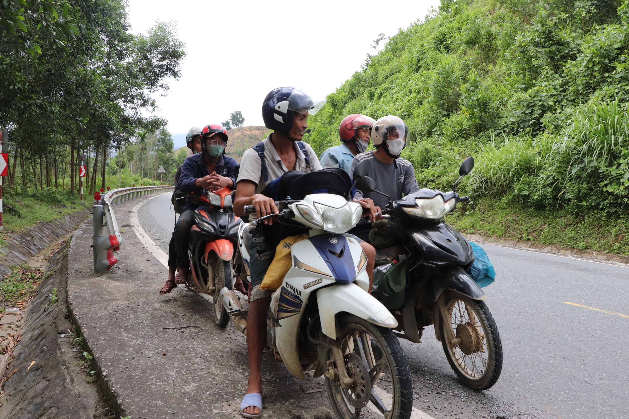 Hàng ngàn người ở Đà Nẵng đổ xô nhặt quả ươi bay , thu tiền triệu mỗi ngày - Ảnh 4. Hàng ngàn người ở Đà Nẵng đổ xô nhặt quả ươi bay , thu tiền triệu mỗi ngày - Ảnh 4.