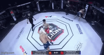 “Mãnh Long Đại Việt” quật ngã 2 võ sĩ Trung Quốc trong chưa đầy 5 phút, thắng knock-out ngoạn mục - Ảnh 1.