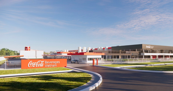 Một doanh nghiệp Việt vươn mình, lập cột mốc vượt kỳ vọng, mọi chỉ tiêu đều "vượt rào" - Ảnh 3.