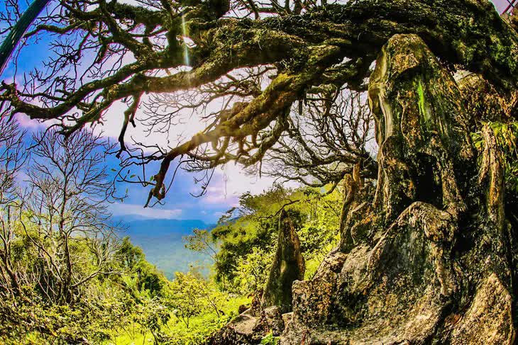 Quần thể di t&iacute;ch v&agrave; danh thắng Y&ecirc;n Tử - Vĩnh Nghi&ecirc;m - C&ocirc;n Sơn, Kiếp Bạc được UNESCO c&ocirc;ng nhận l&agrave; Di sản Thế giới- Ảnh 1.
