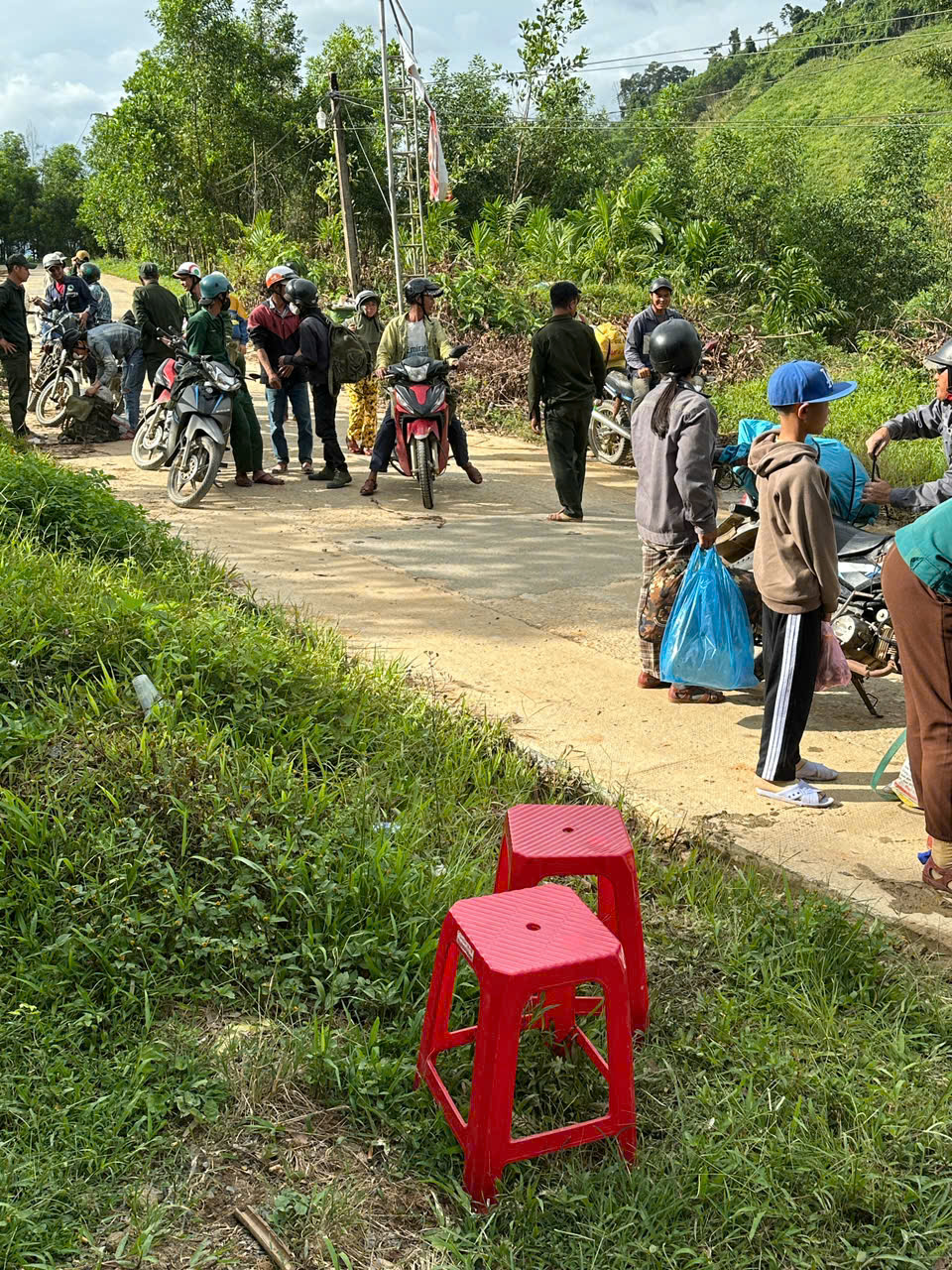 Hàng ngàn người ở Đà Nẵng đổ xô nhặt quả ươi bay , thu tiền triệu mỗi ngày - Ảnh 2. Hàng ngàn người ở Đà Nẵng đổ xô nhặt quả ươi bay , thu tiền triệu mỗi ngày - Ảnh 2.