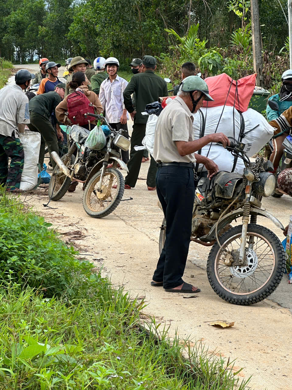Hàng ngàn người ở Đà Nẵng đổ xô nhặt quả ươi bay , thu tiền triệu mỗi ngày - Ảnh 3. Hàng ngàn người ở Đà Nẵng đổ xô nhặt quả ươi bay , thu tiền triệu mỗi ngày - Ảnh 3.