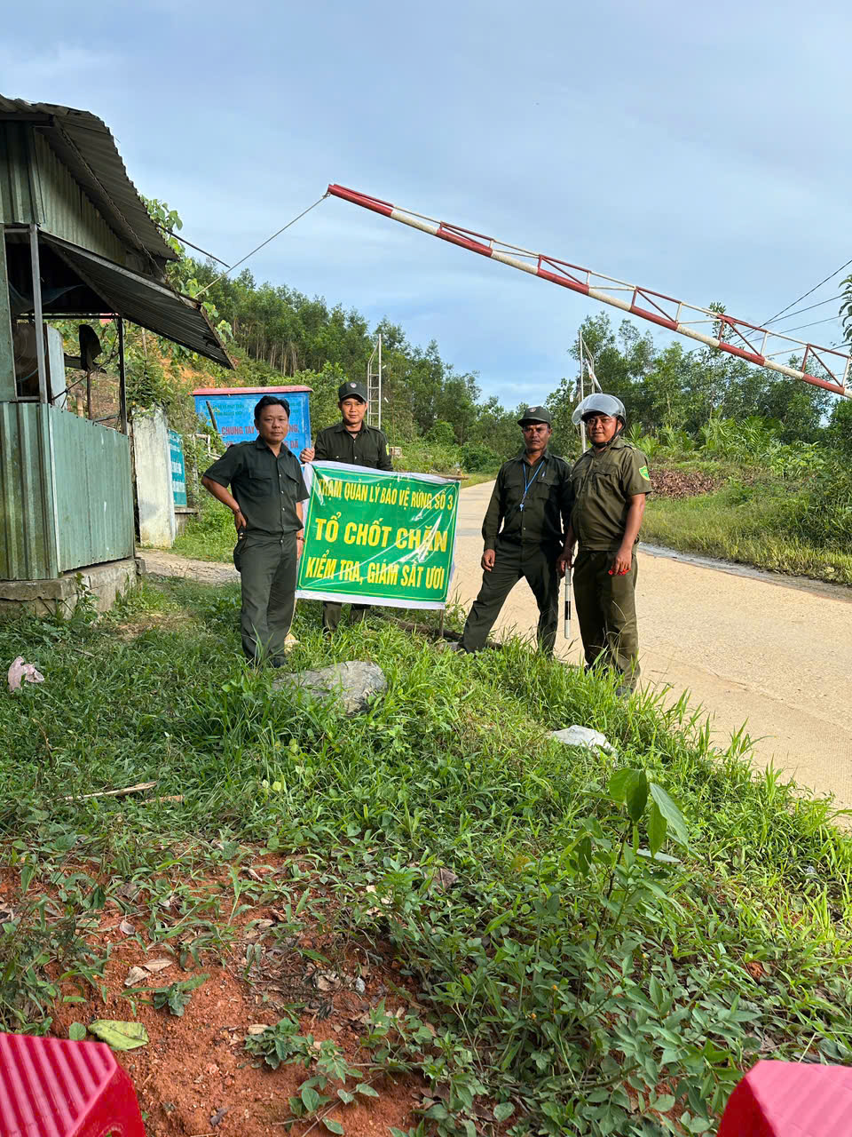 Hàng ngàn người ở Đà Nẵng đổ xô nhặt quả ươi bay , thu tiền triệu mỗi ngày - Ảnh 13. Hàng ngàn người ở Đà Nẵng đổ xô nhặt quả ươi bay , thu tiền triệu mỗi ngày - Ảnh 13.