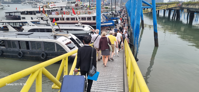 Có nên hạn chế tàu du lịch trên vịnh Hạ Long? - Ảnh 1. Có nên hạn chế tàu du lịch trên vịnh Hạ Long? - Ảnh 1.