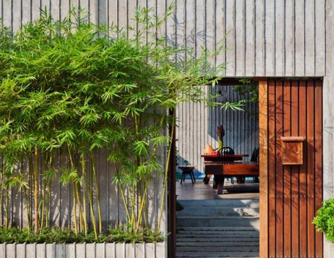 Ông bà dặn không trồng tre trước cửa: Lý do phong thủy không thể bỏ qua - Ảnh 4.