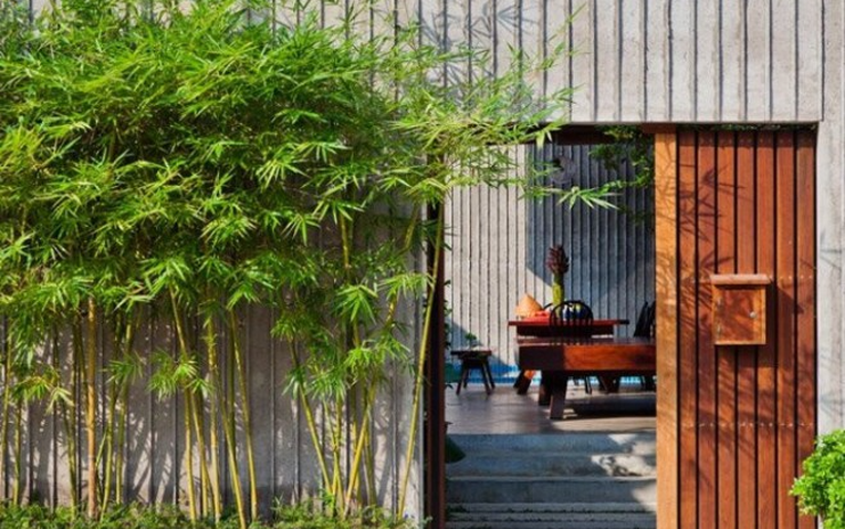 Ông bà dặn không trồng tre trước cửa: Lý do phong thủy không thể bỏ qua - Ảnh 1.