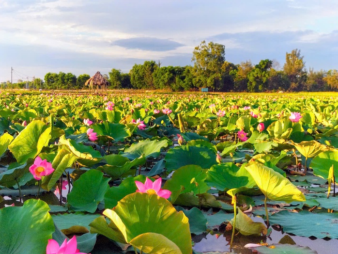 Yên ả sông Đầm - Ảnh 2.