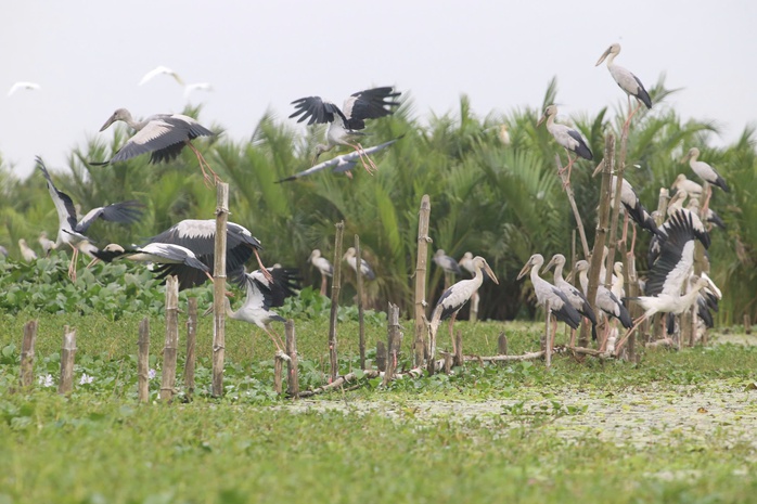 Yên ả sông Đầm - Ảnh 1.