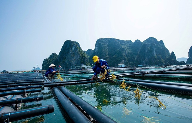Một mặt hàng tỷ đô có lượng xuất khẩu đột biến: Tăng hơn 111% trong một năm sang nước giàu nhất Mỹ Latinh - Ảnh 1.
