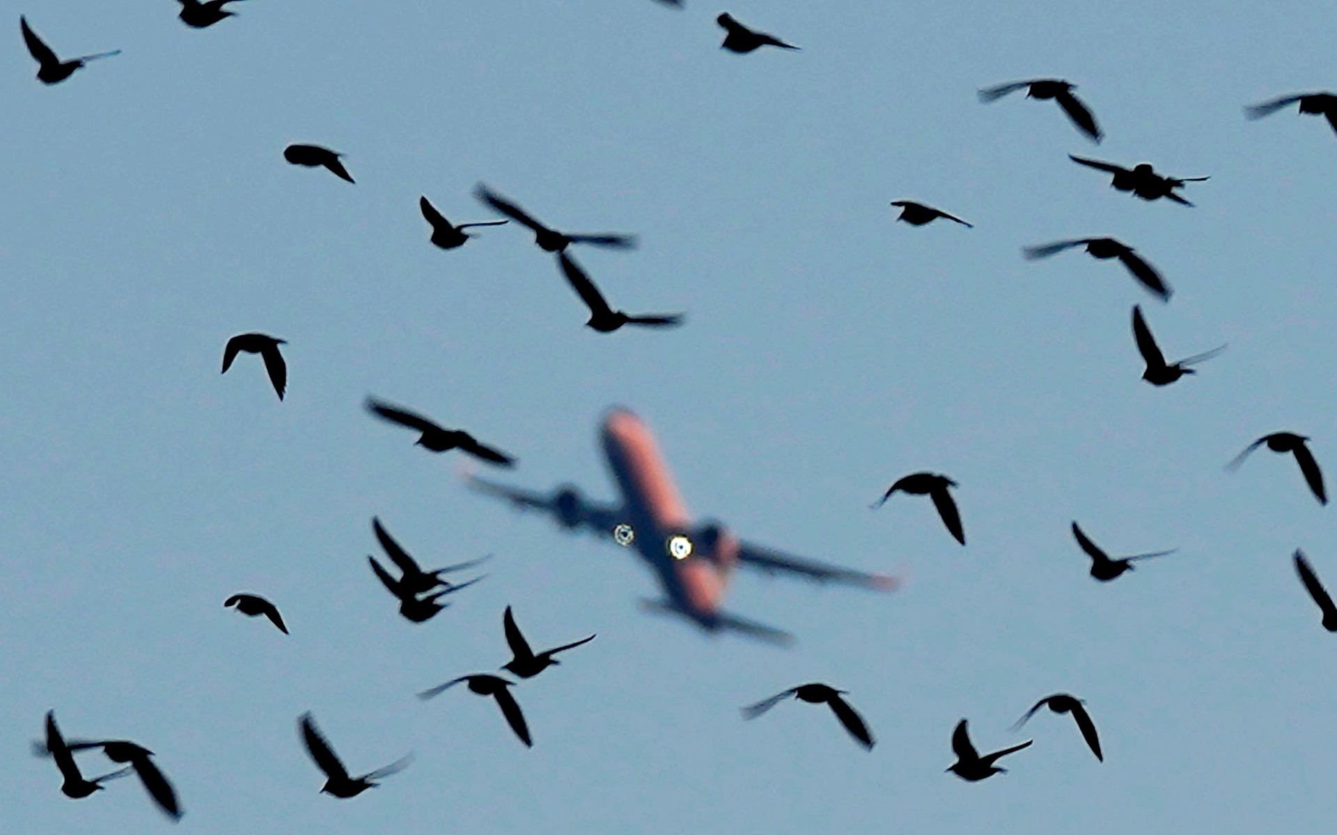 "Bất ổn đáng kể" khiến Singapore có mức tăng trưởng kém Việt Nam gần 2 lần - Ảnh 2.