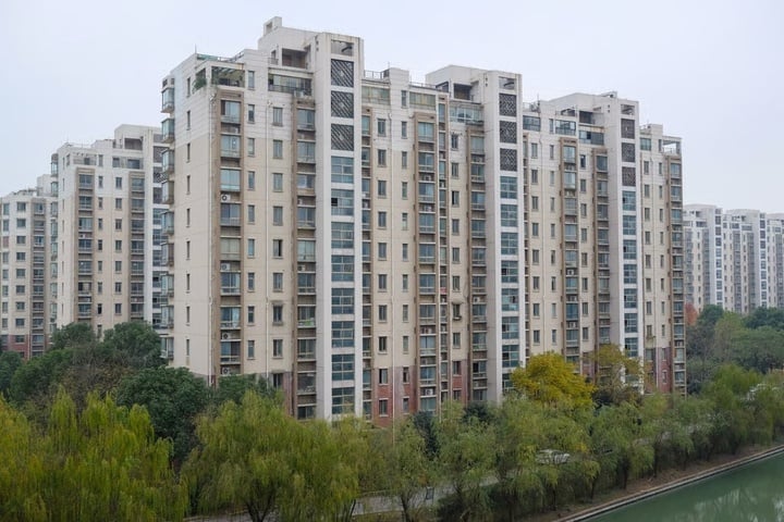  - Ảnh 4.