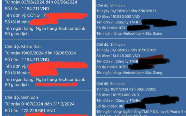 - Ảnh 3.