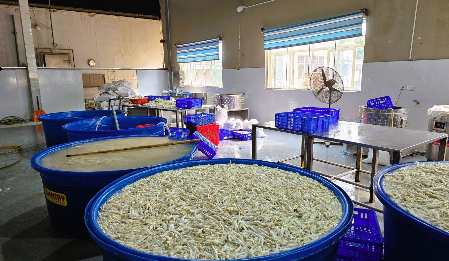 Đột kích kho đông lạnh, phát hiện hàng tấn chân gà ngâm hóa chất: Thấy chân gà có điểm này thì đừng ăn- Ảnh 1.