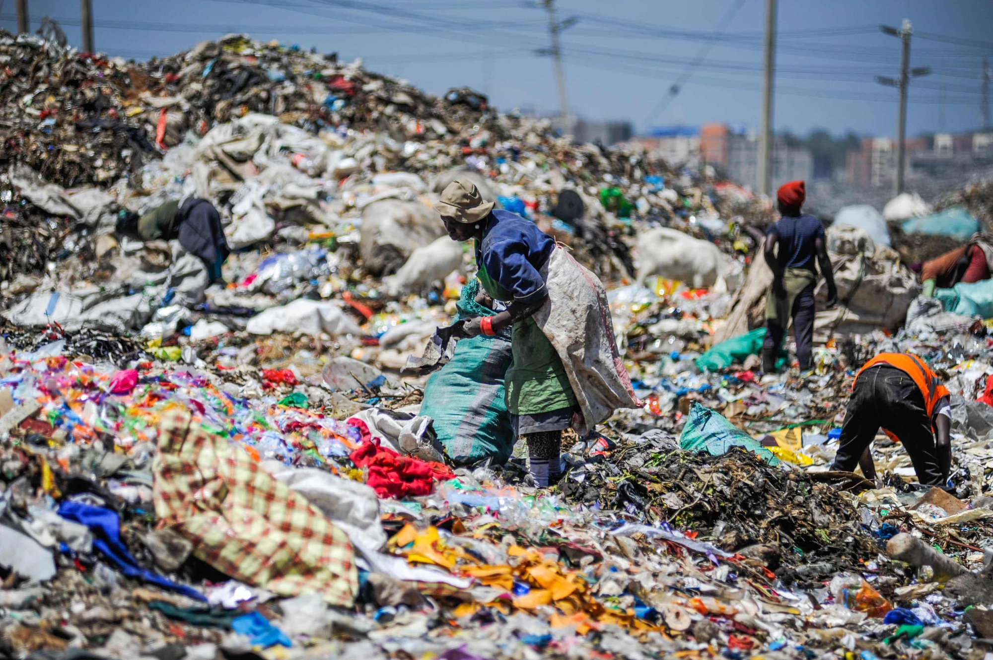 Quốc gia phạt t&ugrave; người d&ugrave;ng t&uacute;i nilon- Ảnh 2.