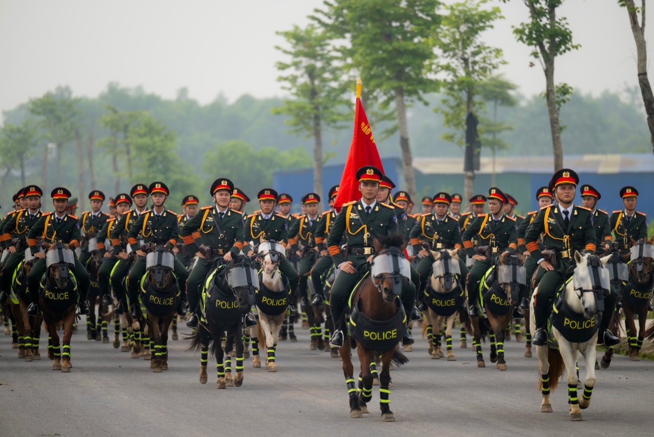 Những hình ảnh mới nhất của chú ngựa nổi tiếng Út Ngáo trong buổi diễu binh - Ảnh 1. Những hình ảnh mới nhất của chú ngựa nổi tiếng Út Ngáo trong buổi diễu binh - Ảnh 1.